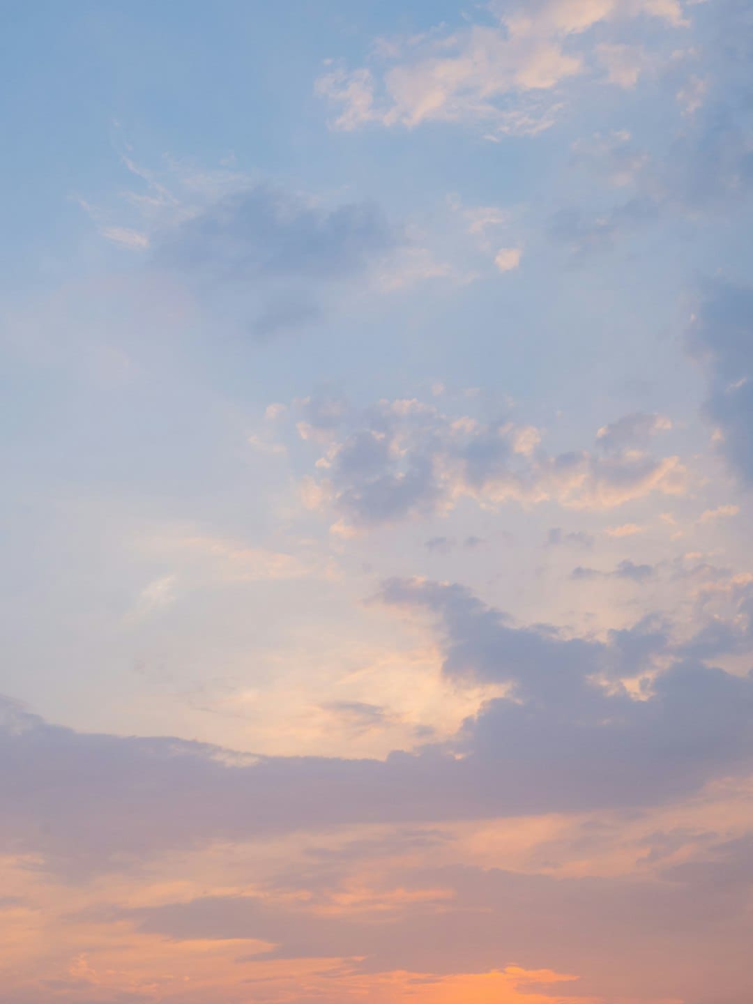 诏安梅岭:七夕献血传递爱 志愿服务暖人心